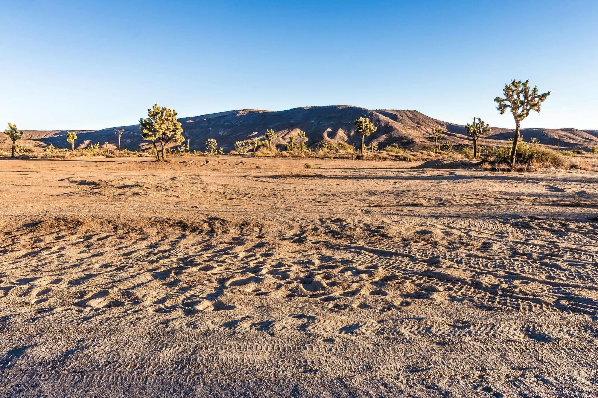 Pioneertown Motel المظهر الخارجي الصورة
